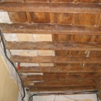 IMG_6288.jpeg