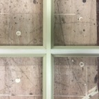 IMG_5368.jpeg